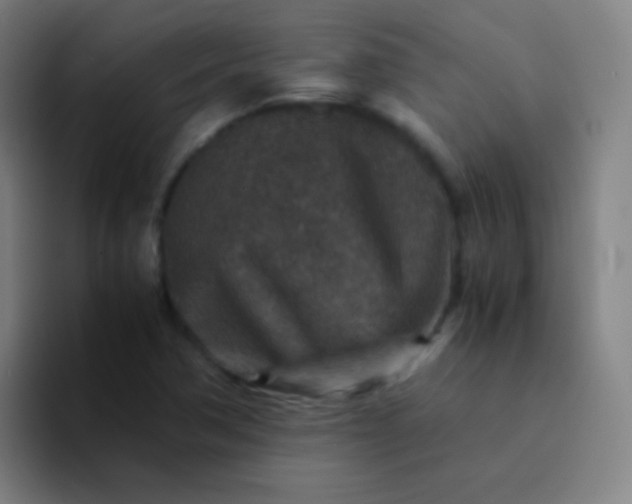 X0000094341362200711162001