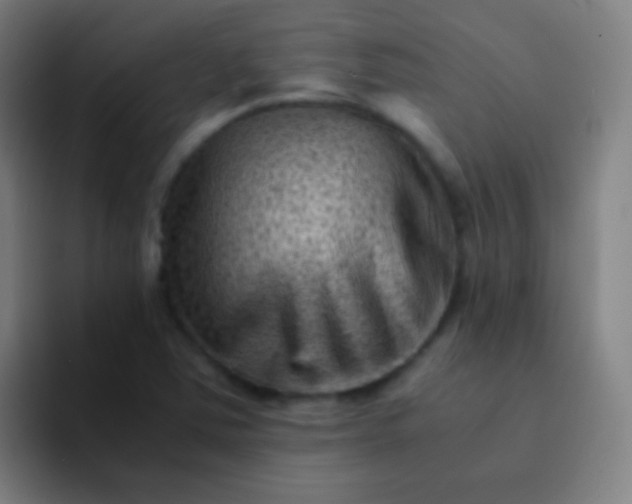 X0000094341363200711162001