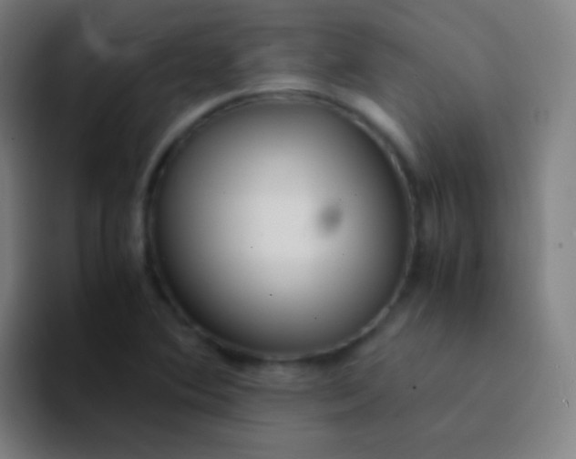 X0000094341364200711162001