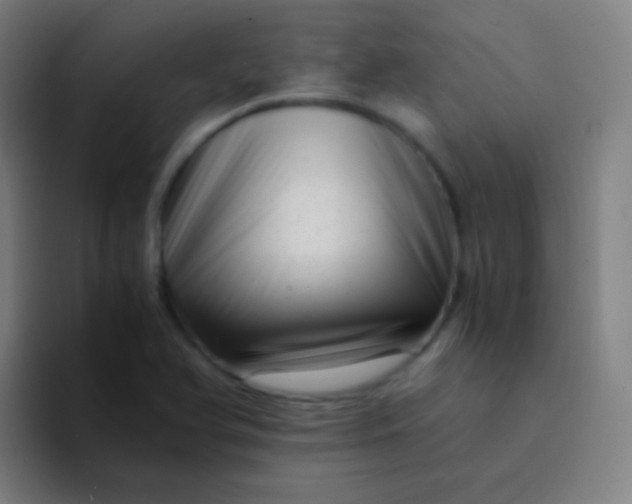 X0000094341366200711162001