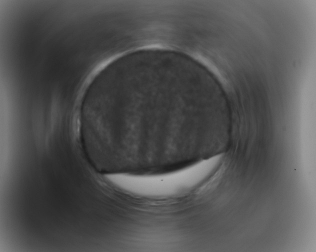 X0000094341367200711162001