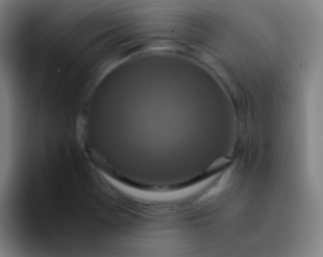 X0000094341369200711162001