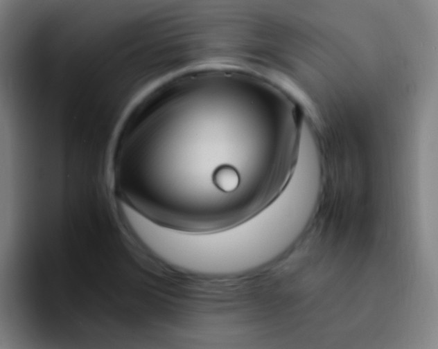 X0000094341372200711162001