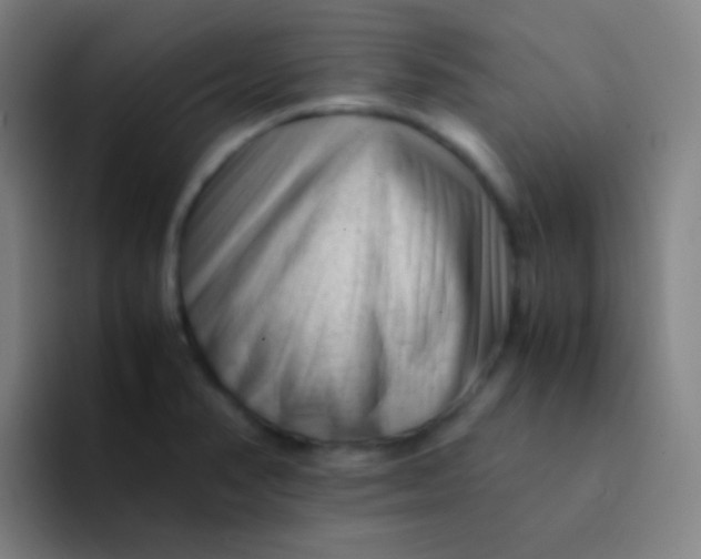 X0000094341374200711162001