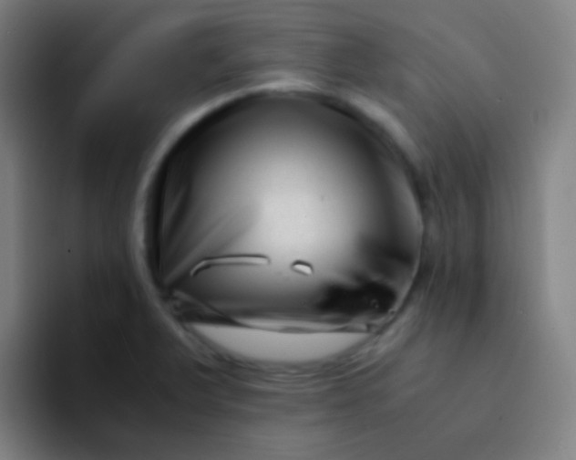 X0000094341375200711162001