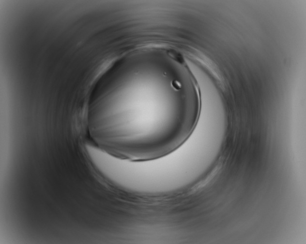 X0000094341377200711162001