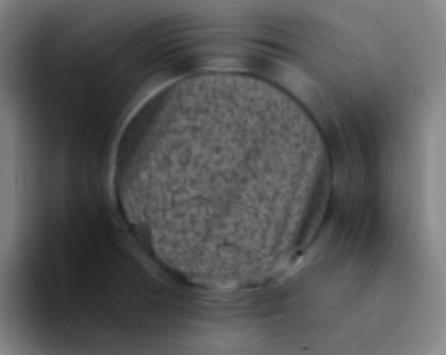 X0000094341378200711162001