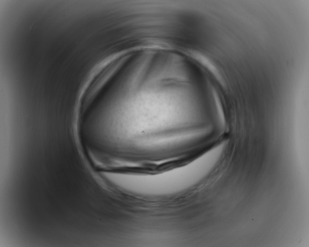 X0000094341379200711162001