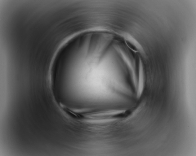 X0000094341380200711162001