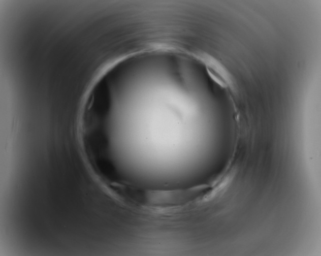 X0000094341381200711162001