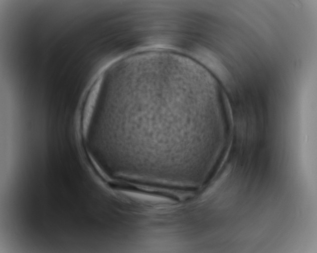 X0000094341382200711162001