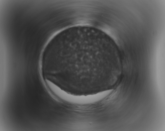 X0000094341383200711162001