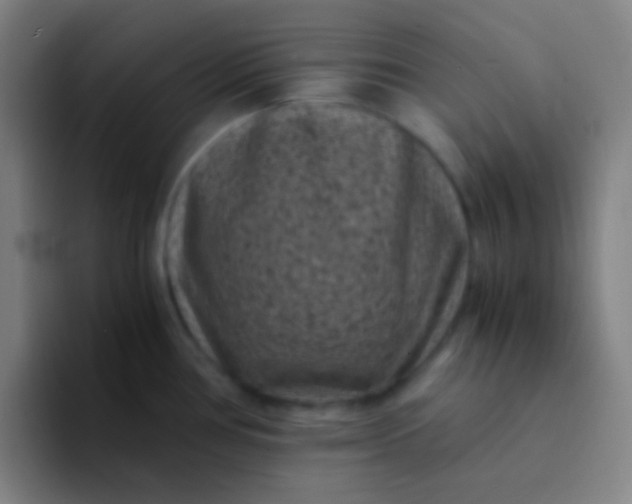 X0000094341386200711162001