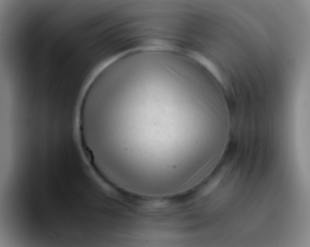 X0000094341387200711162001