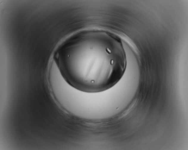 X0000094341388200711162001