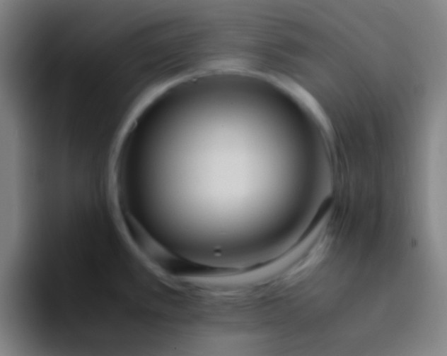 X0000094341389200711162001