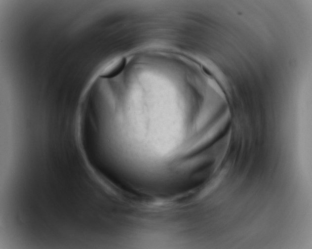 X0000094341390200711162001