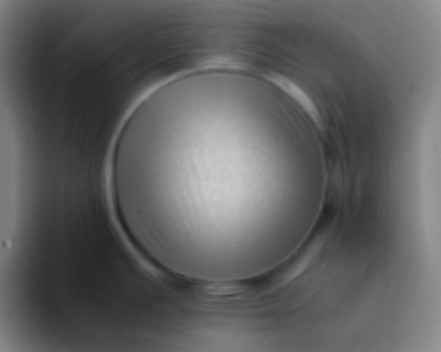 X0000094341391200711162001