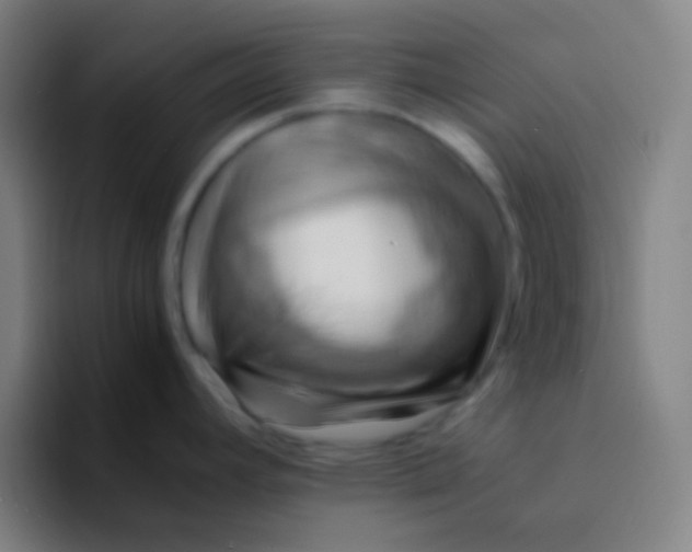 X0000094341392200711162001