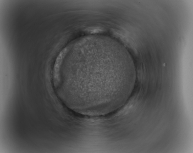 X0000094341393200711162000