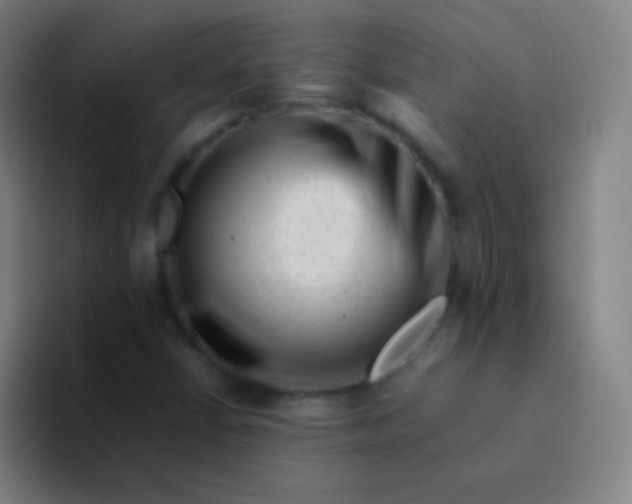 X0000094341402200711162000