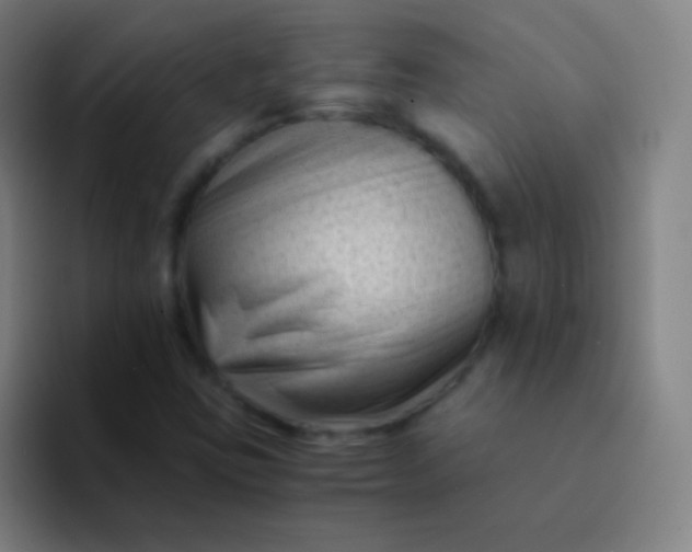 X0000094341403200711162000