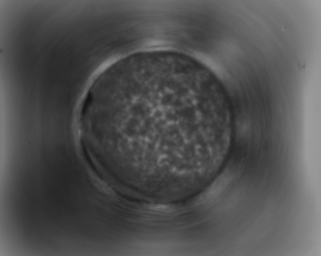 X0000094341413200711162001