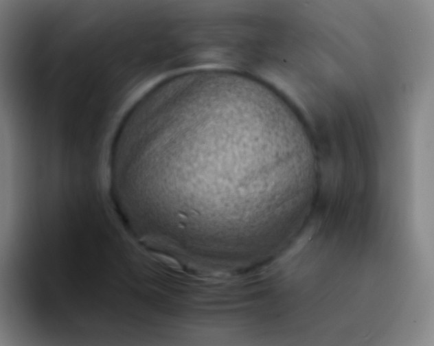 X0000094341415200711162001