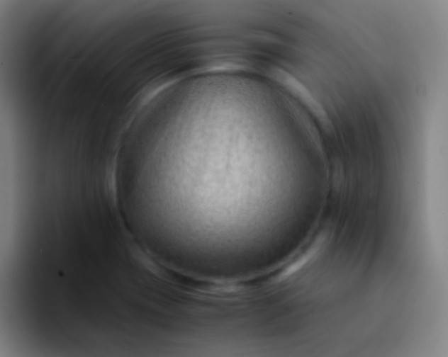 X0000094341417200711162001