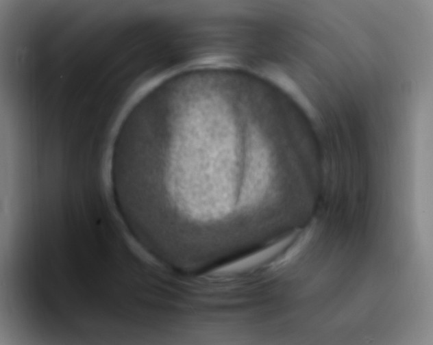 X0000094341421200711162001