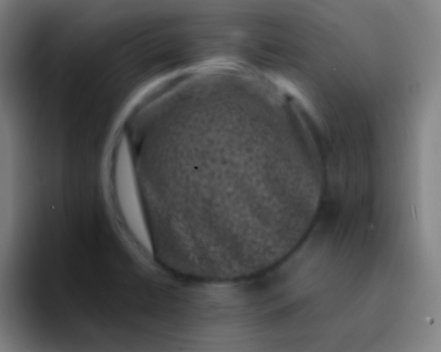 X0000094341422200711162001