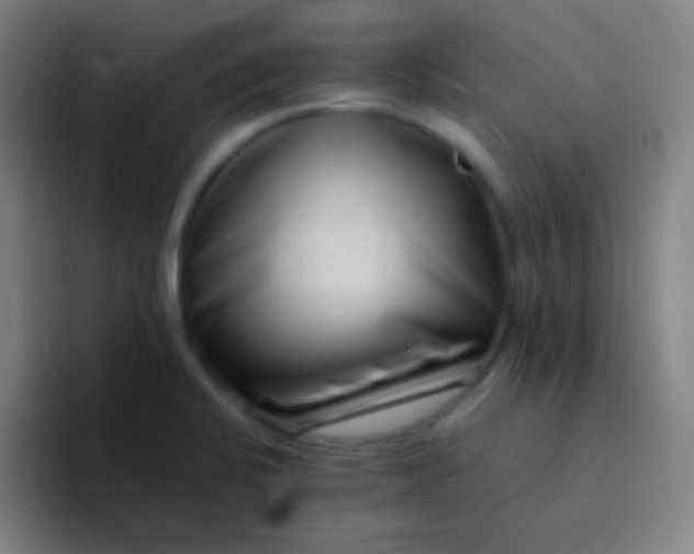 X0000094341424200711162001