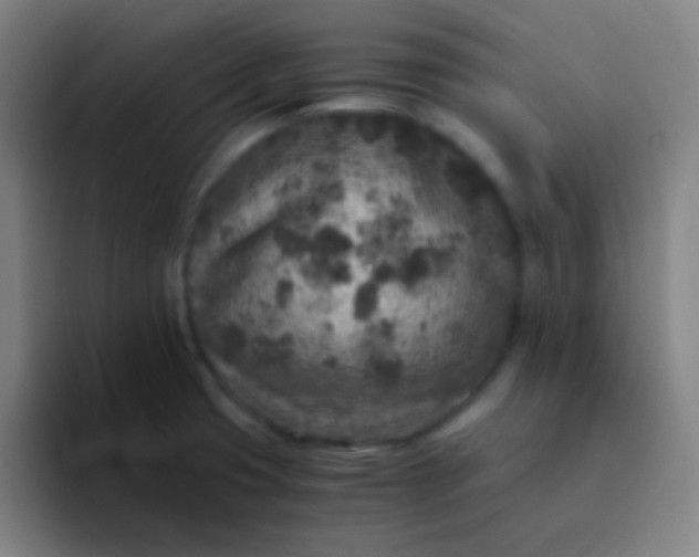 X0000094341425200711162001