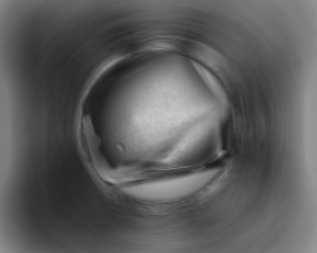 X0000094341426200711162001