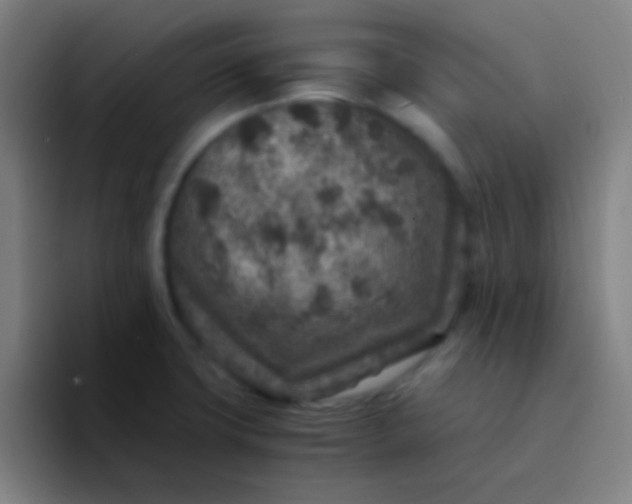 X0000094341427200711162001