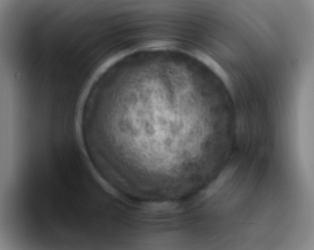 X0000094341429200711162001