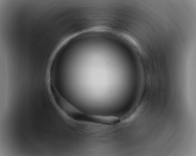 X0000094341430200711162001