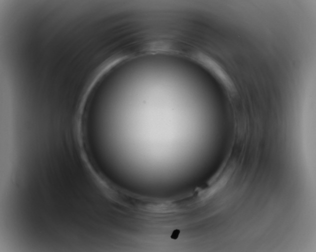 X0000094341434200711162001