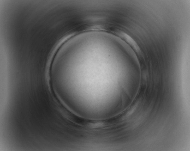 X0000094341435200711162001