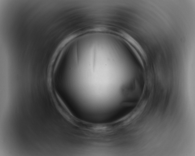 X0000094341437200711162001