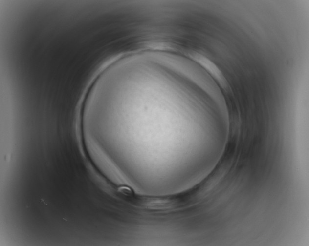 X0000094341439200711162001