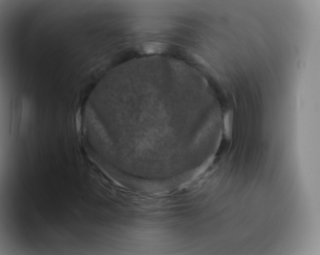 X0000094341443200711162000