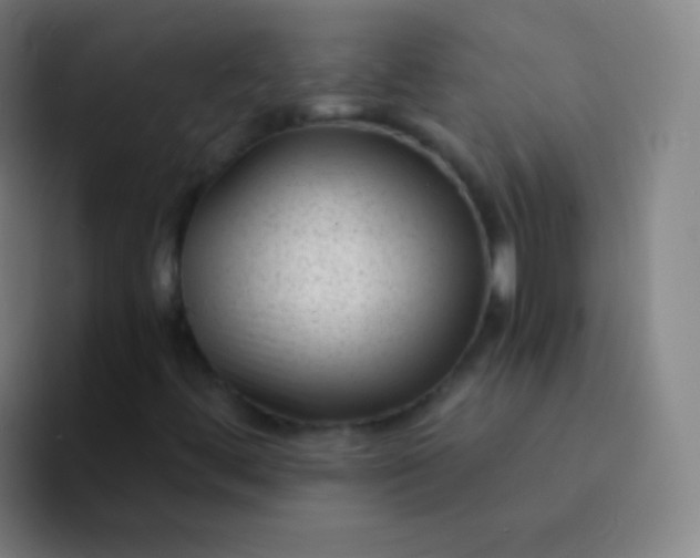 X0000094341444200711162000