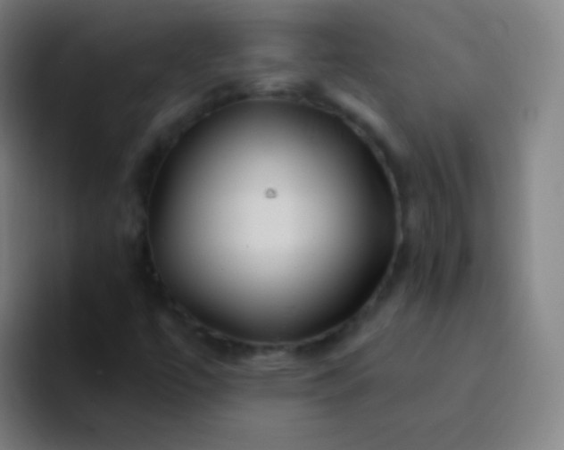 X0000094341447200711162000