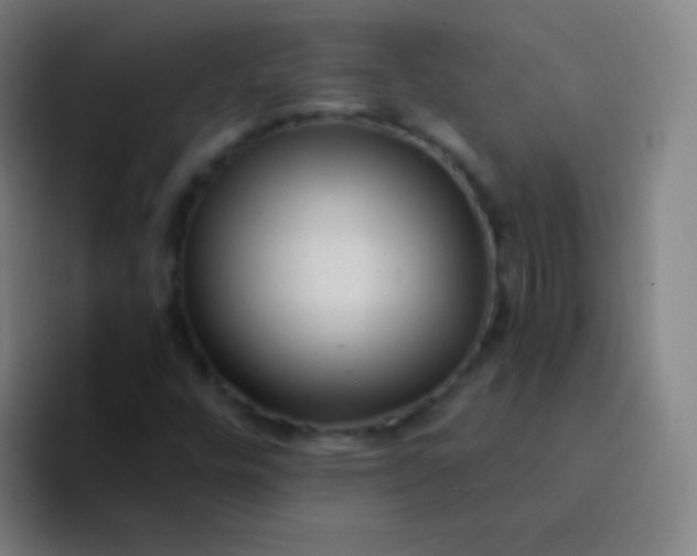 X0000094341448200711162000