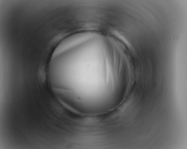 X0000094341451200711162000