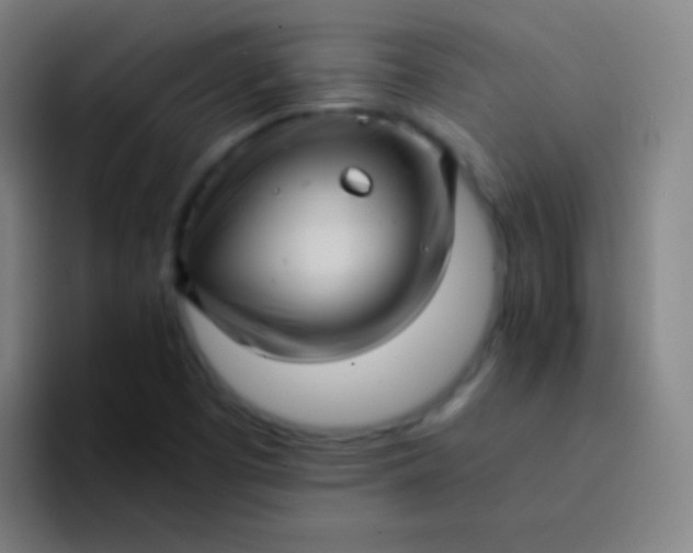 X0000094341457200711162000