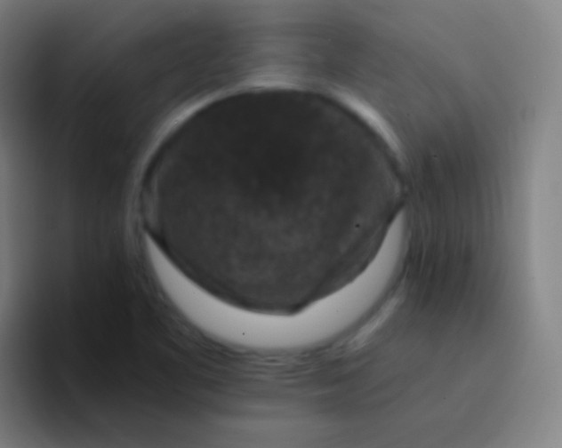 X0000094341461200711162000