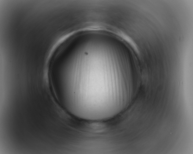 X0000094341464200711162000