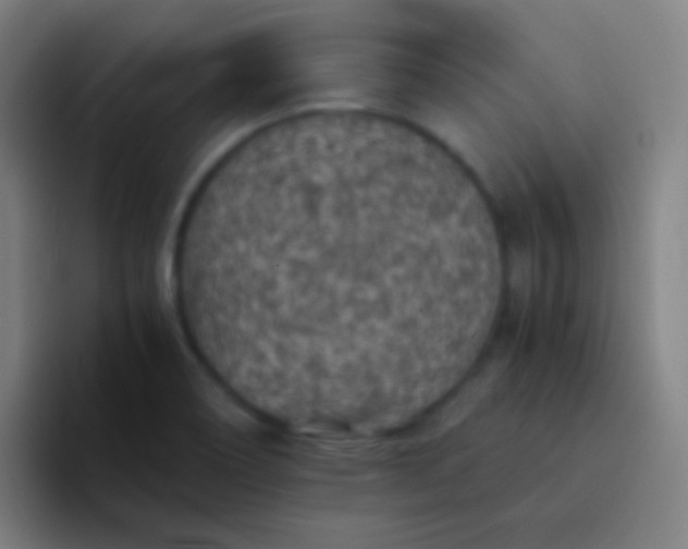 X0000094341466200711162000